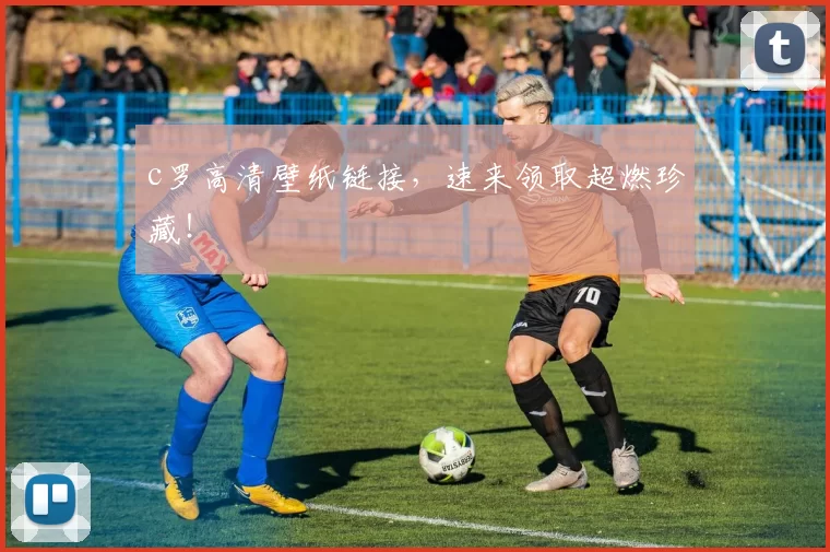 c罗高清壁纸链接，速来领取超燃珍藏！