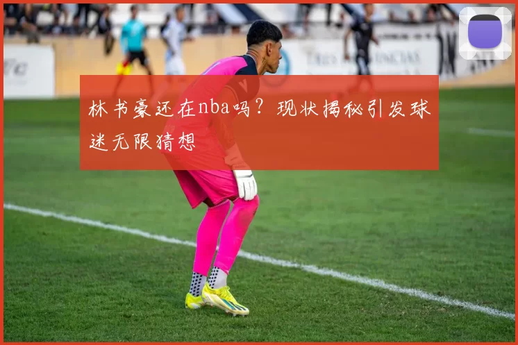 林书豪还在nba吗?现状揭秘引发球迷无限猜想