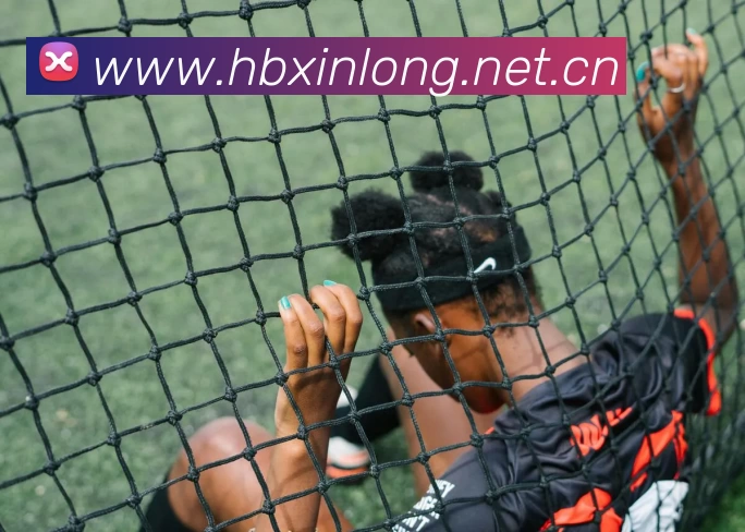 九游·官方版web站入口 - Jiuyou 9(中国)发展历程